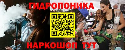 сатива Обь